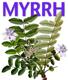 myrrh